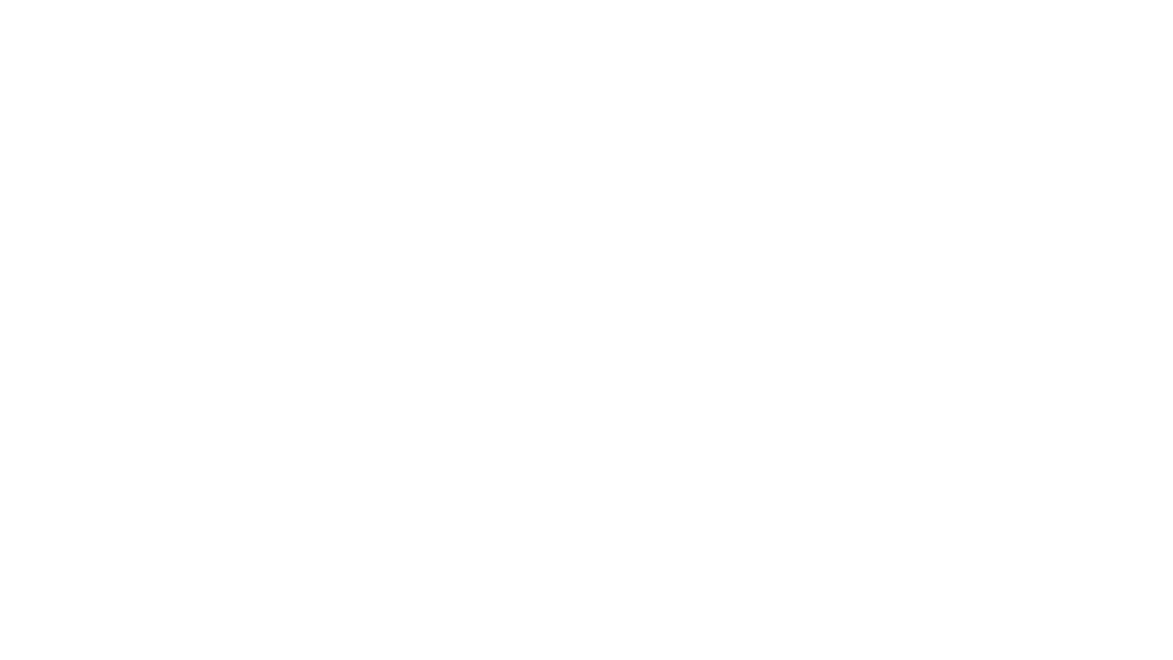 Nightliner 81